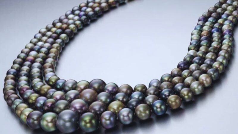 Four-Strand Black Natural Pearl Necklace